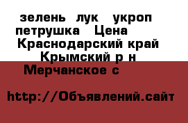 зелень  лук   укроп   петрушка › Цена ­ 100 - Краснодарский край, Крымский р-н, Мерчанское с.  »    